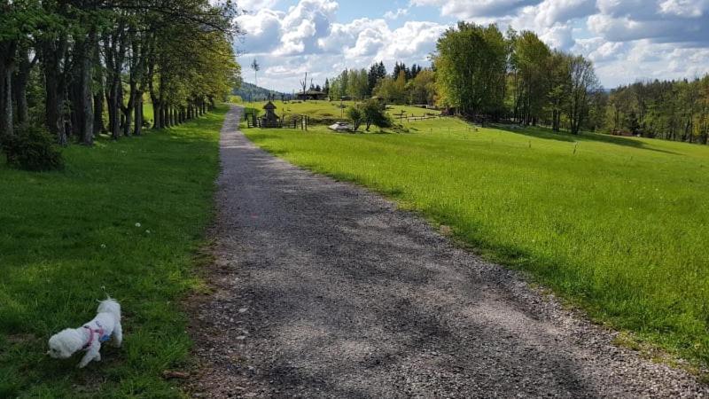 Ubytovani V Soukromi - Apartman Meran Svoboda nad Úpou Exteriör bild